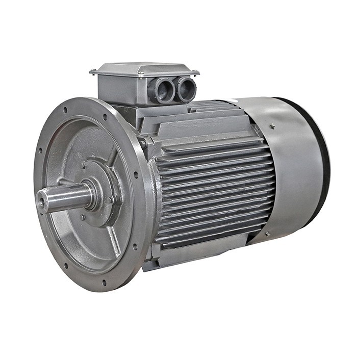 YE2 Asynchronous Three Phase Motor